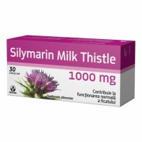 Silymarin Milk Thistle 1000mg, 30 capsule, Biofarm