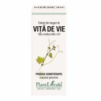 Extract din muguri de Vita de Vie, 50 ml, Plant Extrakt