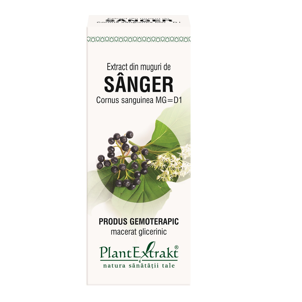 Extract din muguri de Sanger, 50 ml, Plant Extrakt