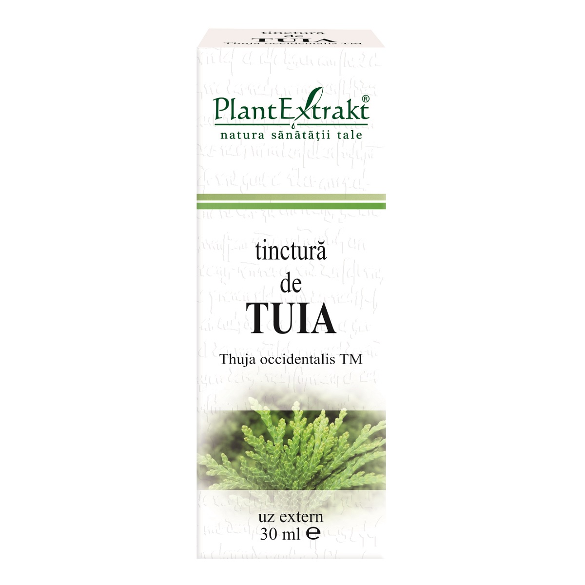 Tinctura de Tuia, 30 ml, Plant Extrakt