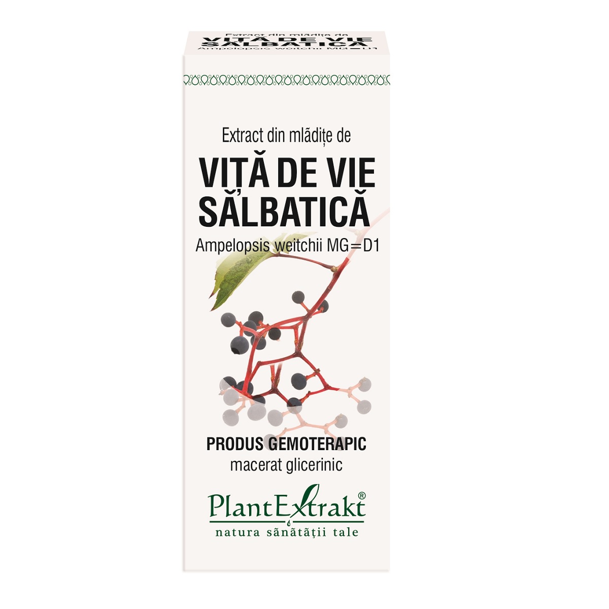 Extract din mladite de Vita de Vie Salbatica, 50 ml, Plant Extrakt